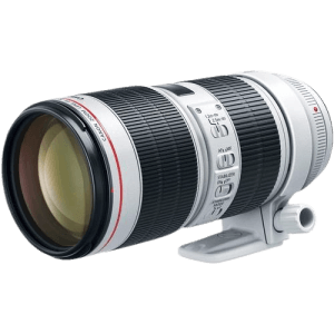 Canon EF 70-200mm f/2.8L IS III USM