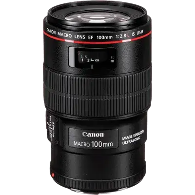 Canon EF 100mm f2.8L Macro IS USM