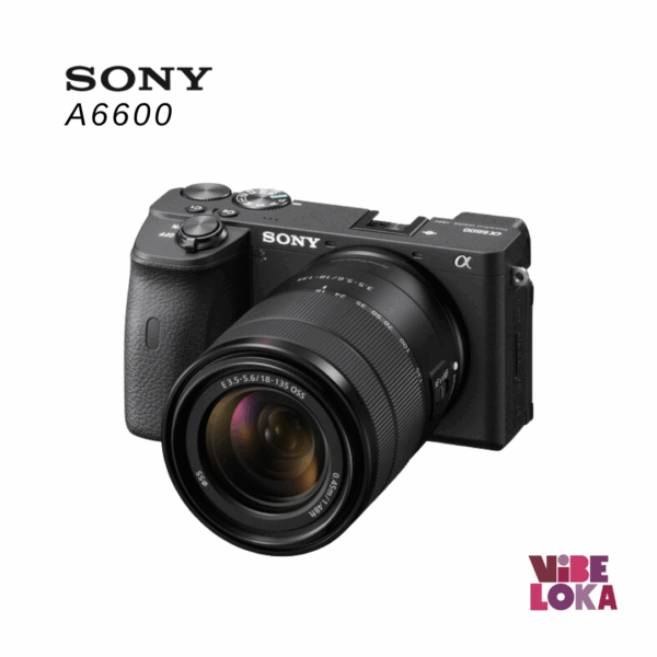 SONY 6600